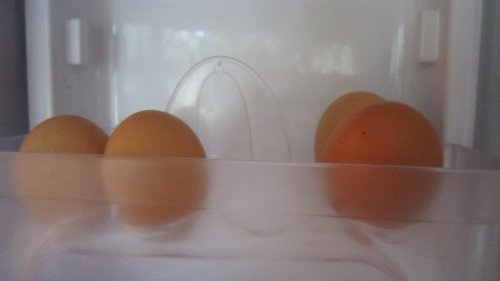eggs