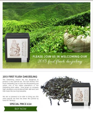 TWININGS TEA FIRST FLUSH DARJEELING
Twinnings Darjeeling