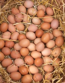 BRITISH EGG WEEK 30th SEPT – 6th OCTOBER… british-egg-week
