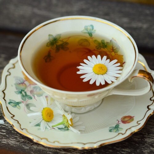 5 TEAS WITH A BIT OF CBD TO RELAX AND ENJOY… untitled-design-73-1.jpg