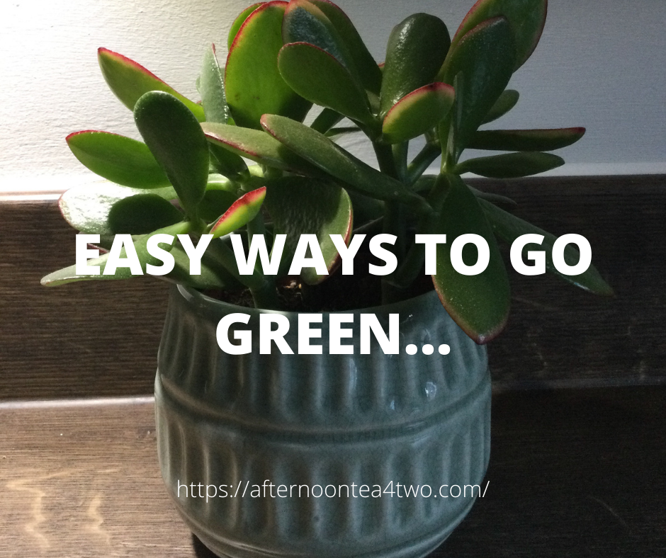EASY WAYS TO GO GREEN… easy-ways-to-go-green..png