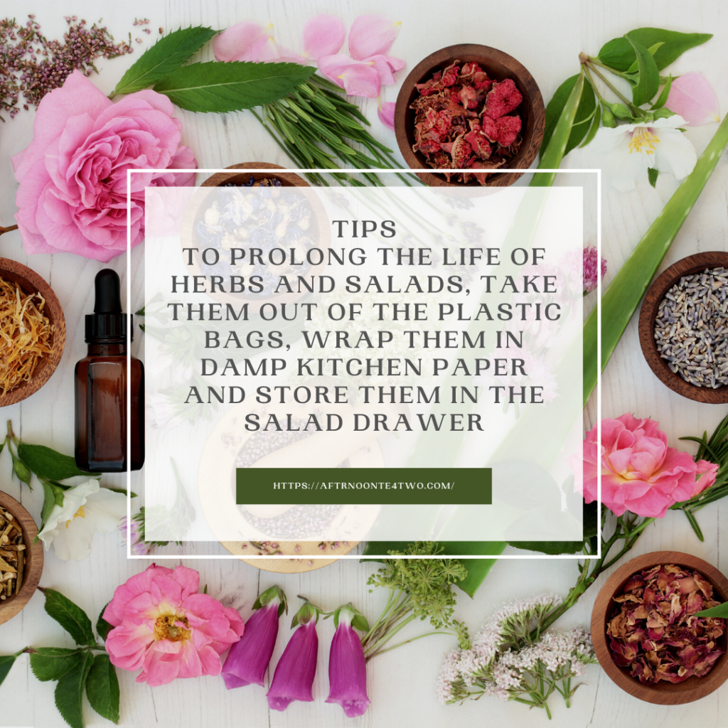 to-prolong-the-life-of-herbs-and-salads-take-them-out-of-the-plastic-bags-wrap-them-in-damp-kitchen-paper-and-store-them-in-the-salad-drawer.png