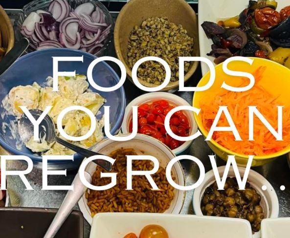 FOODS YOU CAN REGROW